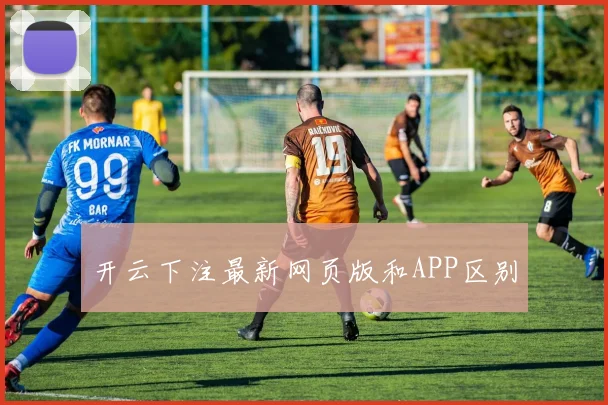 开云下注最新网页版和APP区别