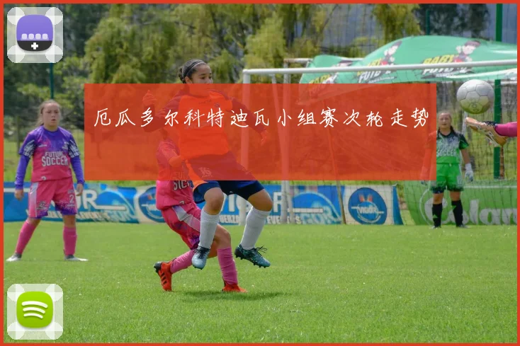 厄瓜多尔科特迪瓦小组赛次轮走势